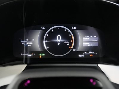 2025 Lexus LM photo 8