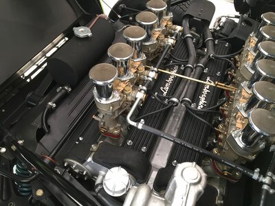 صورة 16 لـ 1971 Lamborghini MIURA