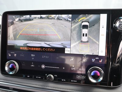 2025 Lexus LM photo 11