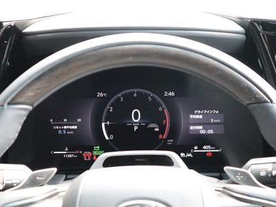 2025 Lexus LM photo 9