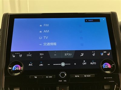2025 Toyota ALPHARD — фото 10