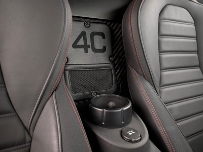 2015 ALFA Romeo 4C — фото 30