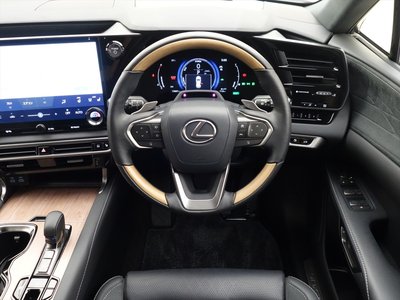 2024 Lexus RX — миниатюра 29