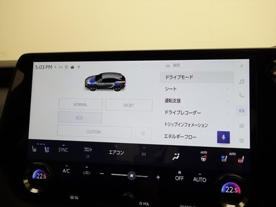 2024 Lexus RX — миниатюра 39