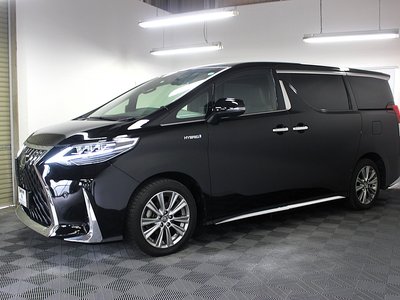 2017 Toyota ALPHARD 照片 5
