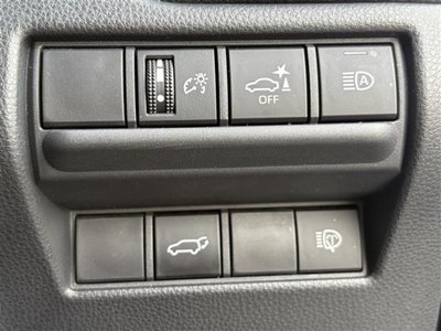 2025 Toyota LAND CRUISER 250 照片 10