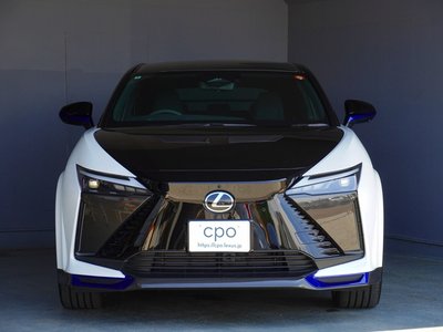 2024 Lexus RZ — фото 13
