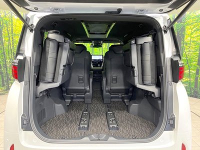 2023 Toyota ALPHARD 照片 11