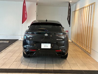 صورة 17 لـ 2025 ALFA Romeo STELVIO