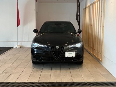 صورة 3 لـ 2025 ALFA Romeo STELVIO