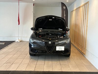 صورة 5 لـ 2025 ALFA Romeo STELVIO