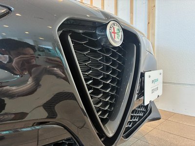 صورة 10 لـ 2025 ALFA Romeo STELVIO