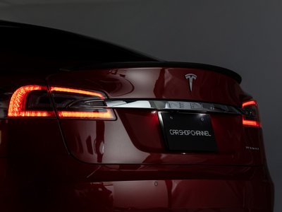 2021 Tesla MODEL S 缩略图 65