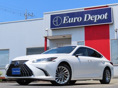 2022 Lexus ES photo 1