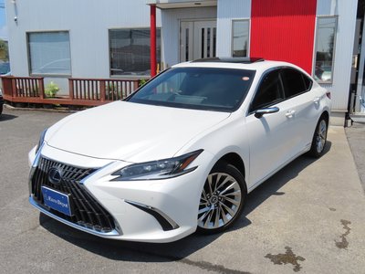 2022 Lexus ES thumbnail 82
