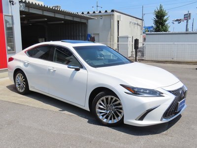 2022 Lexus ES thumbnail 29
