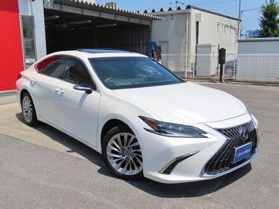 2022 Lexus ES thumbnail 30