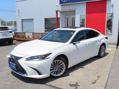 2022 Lexus ES thumbnail 27