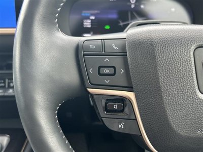 2024 Toyota CROWN SPORT photo 11