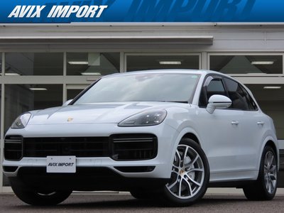 2019 Porsche CAYENNE 缩略图 2