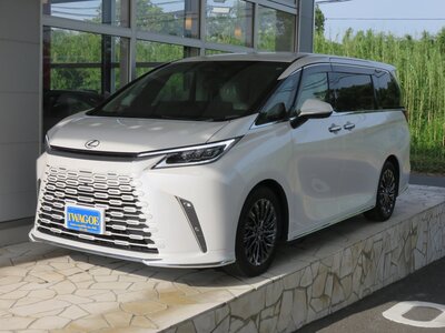 2024 Lexus LM 照片 1