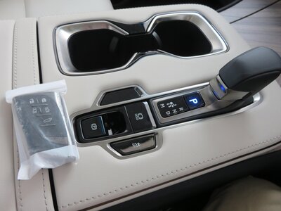 2024 Lexus LM 照片 21