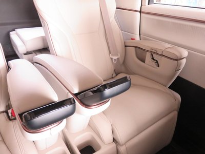 2024 Lexus LM 照片 18
