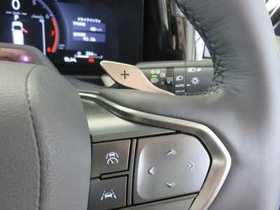 2024 Lexus LM 照片 11