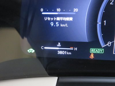 2024 Lexus LM 照片 8