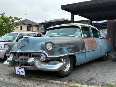 1954 Cadillac FLEETWOOD — фото 1