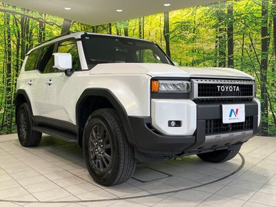 2025 Toyota LAND CRUISER 250 thumbnail 17