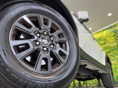 2025 Toyota LAND CRUISER 250 photo 14