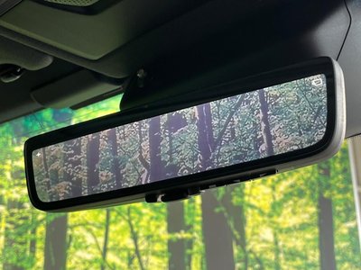 2025 Toyota LAND CRUISER 250 thumbnail 24
