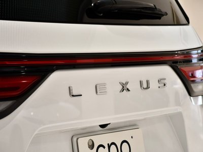 2023 Lexus LX thumbnail 29