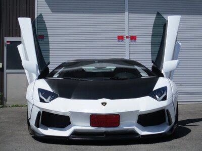 صورة 14 لـ 2012 Lamborghini AVENTADOR