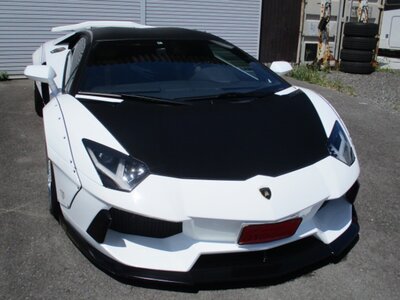 صورة 18 لـ 2012 Lamborghini AVENTADOR