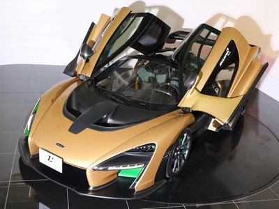 2019 Mclaren SENNA photo 138