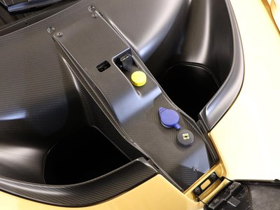 2019 Mclaren SENNA photo 44
