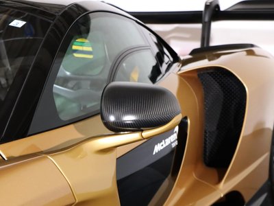 2019 Mclaren SENNA photo 131