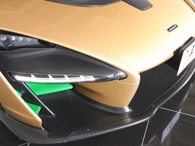 2019 Mclaren SENNA photo 109