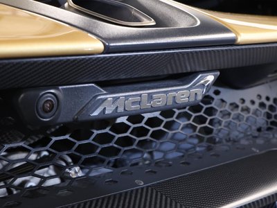 2019 Mclaren SENNA photo 121