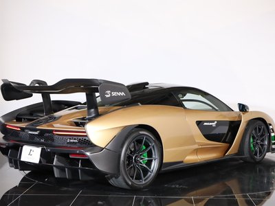 2019 Mclaren SENNA photo 42