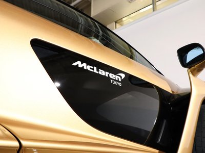 2019 Mclaren SENNA photo 115