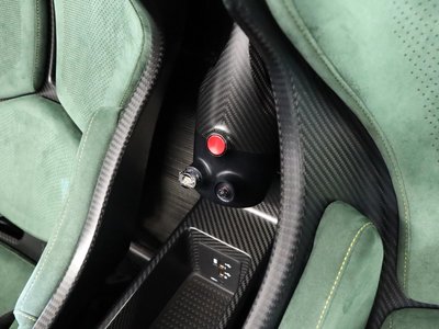 2019 Mclaren SENNA photo 91