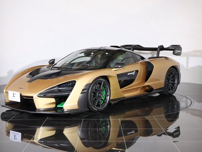 2019 Mclaren SENNA photo 102