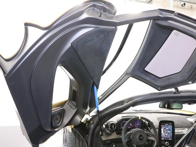 2019 Mclaren SENNA photo 59