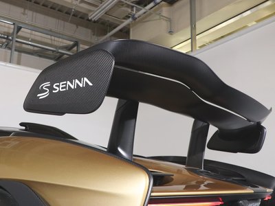2019 Mclaren SENNA photo 123