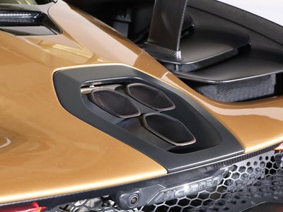 2019 Mclaren SENNA photo 122