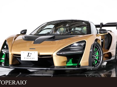 2019 Mclaren SENNA photo 1