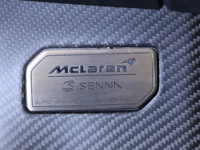 2019 Mclaren SENNA photo 100